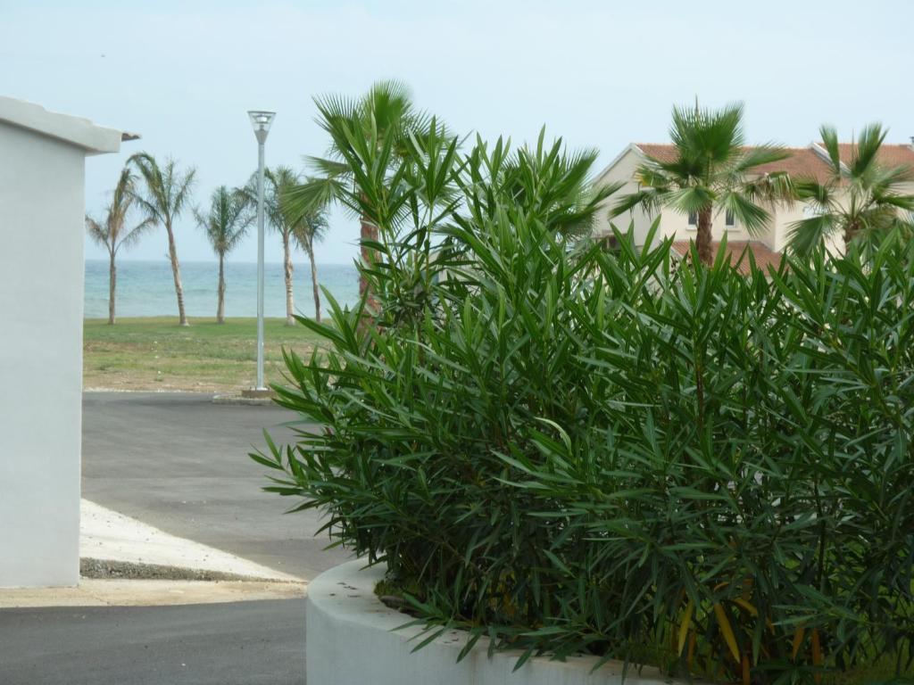 Residence Marea Resort Santa-Lucia-di-Moriani Exterior photo